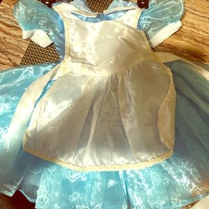 Costum Alice and Wonderland Costume